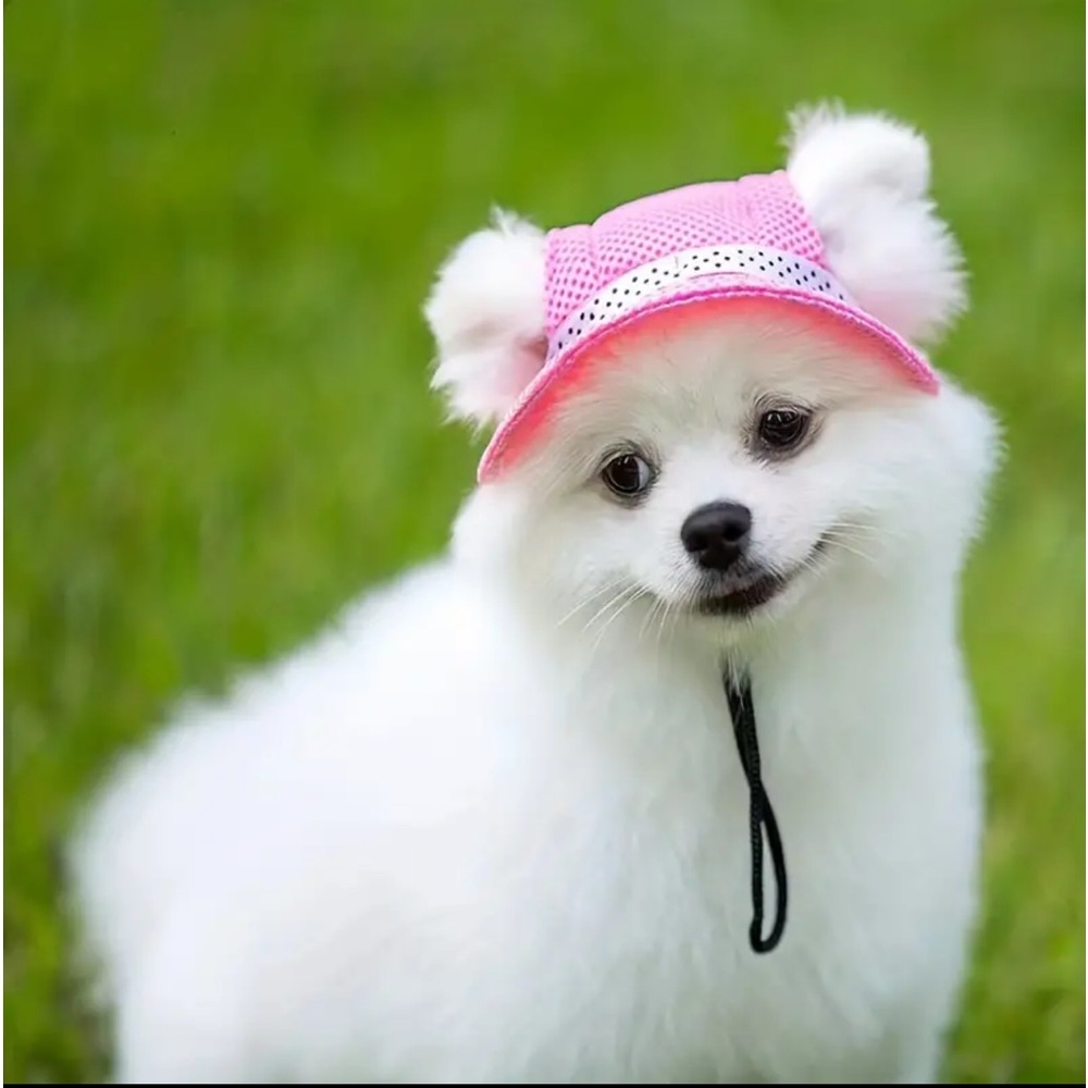 ADJUSTABLE DOG CAP WITH EAR HOLES FOR SUN PROTECTION AND GROOMING